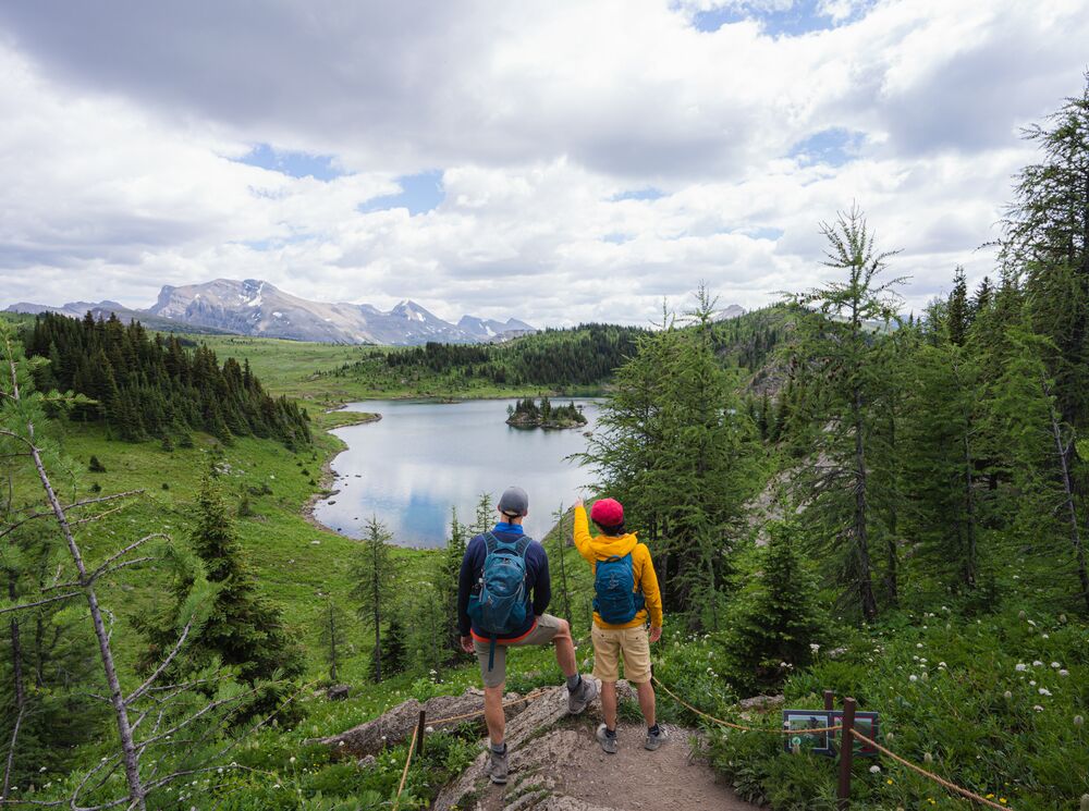 Two hikers look over a lake while on a hiking trail surrounded by trees at Sunshine Meadows near Banff National Park.
